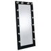 Zayan - Length Floor Mirror With Lighting – Floor Mirrors by Coaster Fine Furniture at Furniture Wholesale Plus , Nashville furniture store
