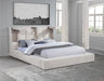 Dreux - Upholstered Panel Platform Bed – Upholstered Beds by Coaster Fine Furniture at Furniture Wholesale Plus , Nashville furniture store