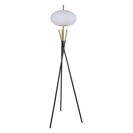 Floor Lamp - Black / Gold - Premium Floor Lamps from Crown Mark - Just $129! Shop now at Furniture Wholesale Plus  We are the best furniture store in Nashville, Hendersonville, Goodlettsville, Madison, Antioch, Mount Juliet, Lebanon, Gallatin, Springfield, Murfreesboro, Franklin, Brentwood