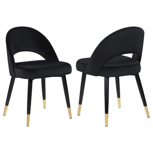 Lindsey - Upholstered Dining Side Chair (Set of 2) - Premium Chair Sets from CoasterEssence - Just $369! Shop now at Furniture Wholesale Plus  We are the best furniture store in Nashville, Hendersonville, Goodlettsville, Madison, Antioch, Mount Juliet, Lebanon, Gallatin, Springfield, Murfreesboro, Franklin, Brentwood
