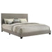 Dorian - Upholstered Panel Bed – Upholstered Beds by CoasterEveryday at Furniture Wholesale Plus , Nashville furniture store
