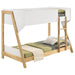 Frankie - Bunk Bed With 7" Mattresses – Bunk Beds by Coaster Fine Furniture at Furniture Wholesale Plus , Nashville furniture store