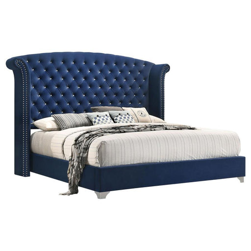 Melody - Upholstered Wingback Bed - Premium Upholstered Beds from CoasterEveryday - Just $519! Shop now at Furniture Wholesale Plus  We are the best furniture store in Nashville, Hendersonville, Goodlettsville, Madison, Antioch, Mount Juliet, Lebanon, Gallatin, Springfield, Murfreesboro, Franklin, Brentwood