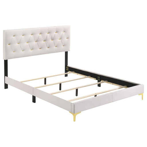 Kendall - Panel Upholstered Bed – Upholstered Beds by CoasterEveryday at Furniture Wholesale Plus , Nashville furniture store