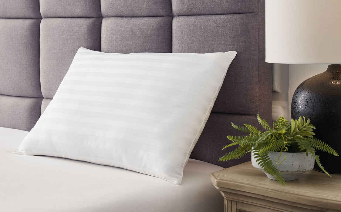 Zephyr 2.0 - Cotton Pillow – Bed Pillows by Ashley Sleep® at Furniture Wholesale Plus , Nashville furniture store