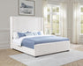 Natasha - Upholstered Bed – Upholstered Beds by Coaster Fine Furniture at Furniture Wholesale Plus , Nashville furniture store