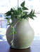 Baychester -  Vase - Premium Vases & Jars from Signature Design by Ashley® - Just $48! Shop now at Furniture Wholesale Plus  We are the best furniture store in Nashville, Hendersonville, Goodlettsville, Madison, Antioch, Mount Juliet, Lebanon, Gallatin, Springfield, Murfreesboro, Franklin, Brentwood