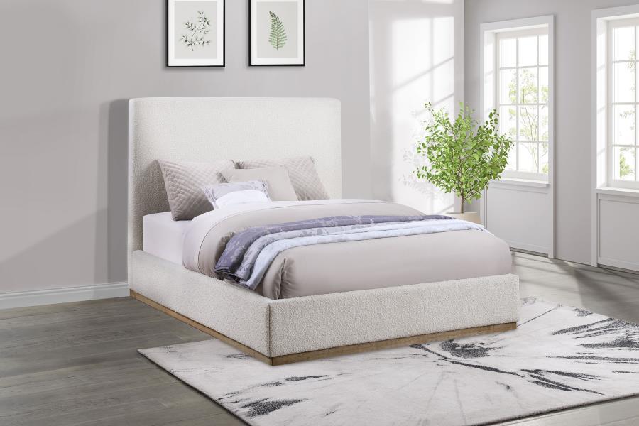 Knox - Upholstered Platform Bed – Upholstered Beds by Coaster Fine Furniture at Furniture Wholesale Plus , Nashville furniture store
