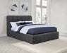 Nollet - Upholstered Platform Bed – Upholstered Beds by Coaster Fine Furniture at Furniture Wholesale Plus , Nashville furniture store