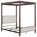 Zimmerlee - Metal Canopy Bed – Canopy Beds by Coaster Fine Furniture at Furniture Wholesale Plus , Nashville furniture store