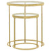 Maylin - 2 Piece Round Glass Top Nesting Table Set - Gold – Nesting Tables by CoasterElevations at Furniture Wholesale Plus , Nashville furniture store
