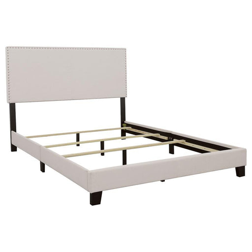 Boyd - Upholstered Panel Bed – Upholstered Beds by CoasterEveryday at Furniture Wholesale Plus , Nashville furniture store