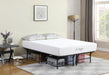 Mabel - Metal Support Platform Bed – Platform Beds by CoasterEveryday at Furniture Wholesale Plus , Nashville furniture store