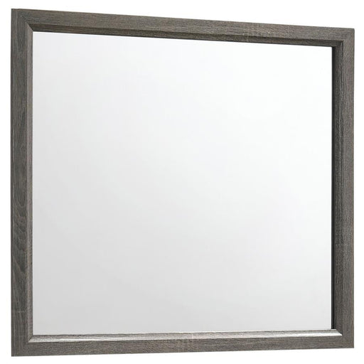 Watson - Dresser Mirror - Gray Oak - Premium Bedroom Mirrors from CoasterEveryday - Just $99! Shop now at Furniture Wholesale Plus  We are the best furniture store in Nashville, Hendersonville, Goodlettsville, Madison, Antioch, Mount Juliet, Lebanon, Gallatin, Springfield, Murfreesboro, Franklin, Brentwood