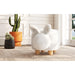 Animal Stools - Storage Stool – Storage Ottomans by Elements International at Furniture Wholesale Plus , Nashville furniture store