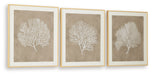 Hendridge - Wall Art Set (Set of 3) - Taupe / White – Framed Print Sets by Signature Design by Ashley® at Furniture Wholesale Plus , Nashville furniture store