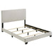 Dorian - Upholstered Panel Bed – Upholstered Beds by CoasterEveryday at Furniture Wholesale Plus , Nashville furniture store