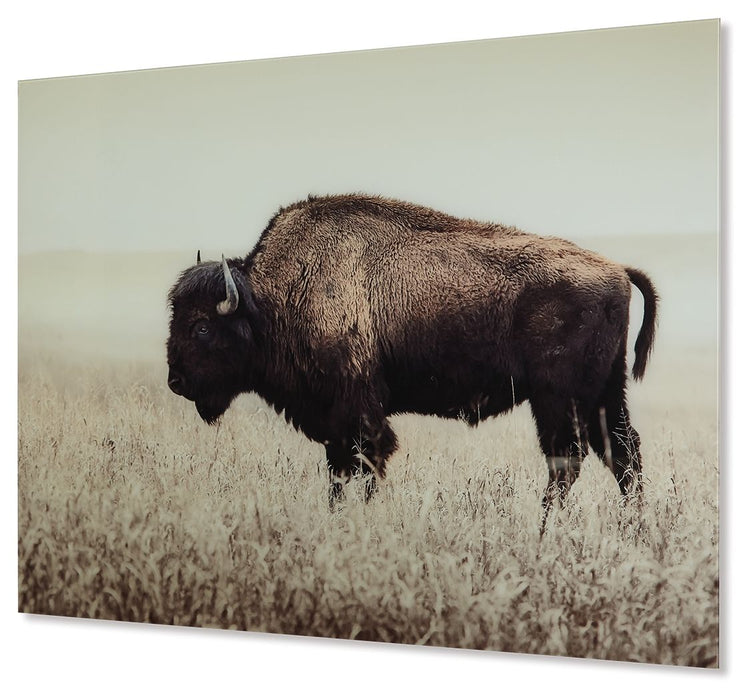 Brutus - Wall Art - Sepia – Wall Decor by Signature Design by Ashley® at Furniture Wholesale Plus , Nashville furniture store