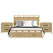 Ridgemont - Storage Bedroom Set – 3 Piece Bedroom Sets by Elements International at Furniture Wholesale Plus , Nashville furniture store