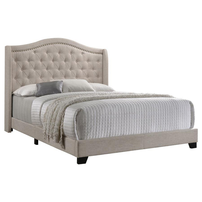 Sonoma - Upholstered Wingback Bed – Upholstered Beds by CoasterEssence at Furniture Wholesale Plus , Nashville furniture store