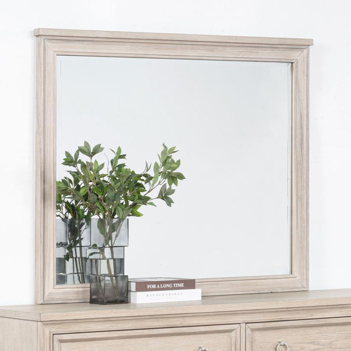 Pembroke - Dresser Mirror - Washed Oak – Mirrors by Coaster Fine Furniture at Furniture Wholesale Plus , Nashville furniture store