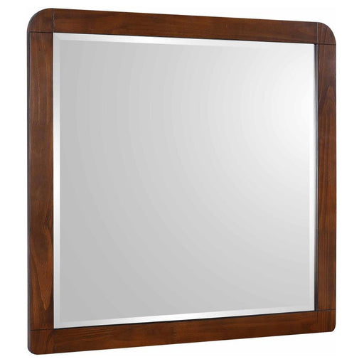 Robyn - Dresser Mirror - Premium Bedroom Mirrors from CoasterEssence - Just $189! Shop now at Furniture Wholesale Plus  We are the best furniture store in Nashville, Hendersonville, Goodlettsville, Madison, Antioch, Mount Juliet, Lebanon, Gallatin, Springfield, Murfreesboro, Franklin, Brentwood