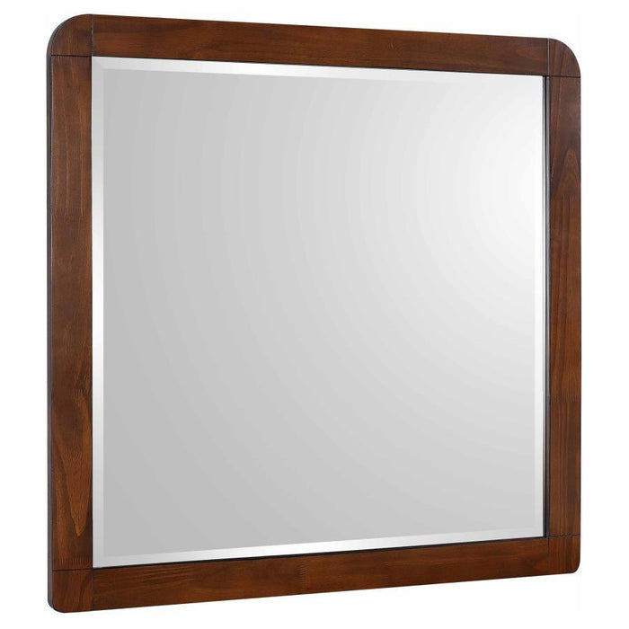 Robyn - Dresser Mirror – Mirrors by CoasterEssence at Furniture Wholesale Plus , Nashville furniture store