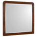 Robyn - Dresser Mirror – Mirrors by CoasterEssence at Furniture Wholesale Plus , Nashville furniture store