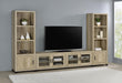 Sachin - TV Entertainment Center - Premium Entertainment Centers from Coaster Fine Furniture - Just $1069! Shop now at Furniture Wholesale Plus  We are the best furniture store in Nashville, Hendersonville, Goodlettsville, Madison, Antioch, Mount Juliet, Lebanon, Gallatin, Springfield, Murfreesboro, Franklin, Brentwood