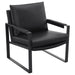 Rosalind - Upholstered Track Arm Accent Chair - Premium Accent Chairs from Coaster Fine Furniture - Just $379! Shop now at Furniture Wholesale Plus  We are the best furniture store in Nashville, Hendersonville, Goodlettsville, Madison, Antioch, Mount Juliet, Lebanon, Gallatin, Springfield, Murfreesboro, Franklin, Brentwood