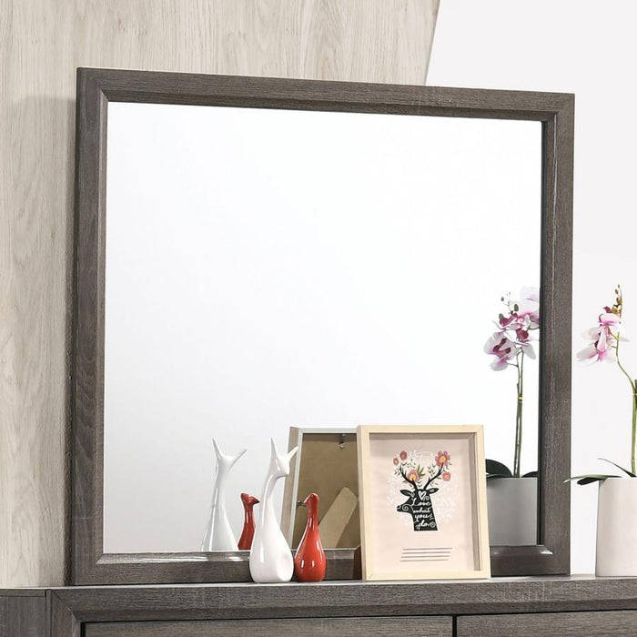 Watson - Dresser Mirror - Gray Oak – Mirrors by CoasterEveryday at Furniture Wholesale Plus , Nashville furniture store