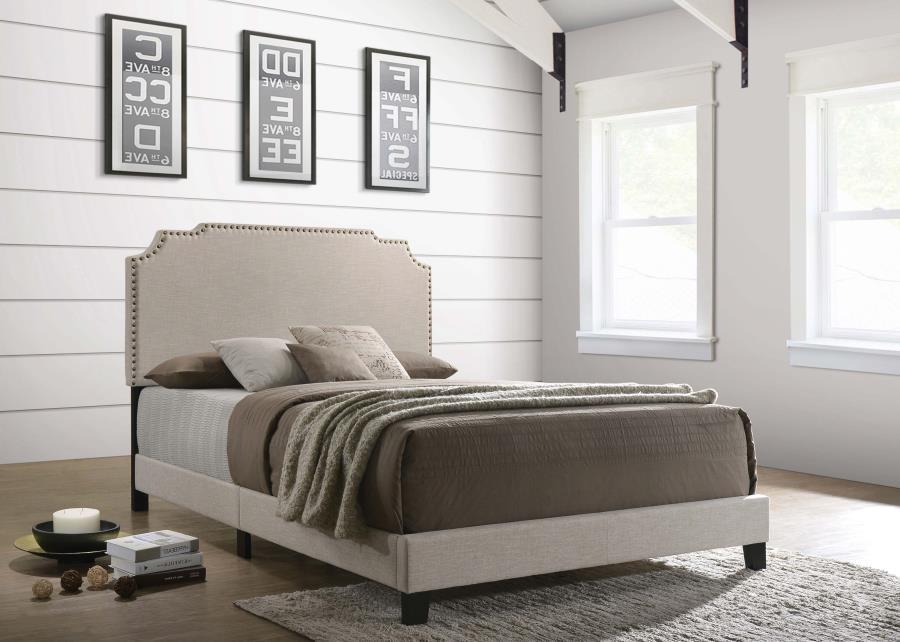 Tamarac - Upholstered Panel Bed – Upholstered Beds by CoasterEveryday at Furniture Wholesale Plus , Nashville furniture store