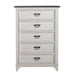 Allyson Park - 5 Drawer Chest - Wirebrushed White / Charcoal – Accent Chests by Liberty Furniture at Furniture Wholesale Plus , Nashville furniture store
