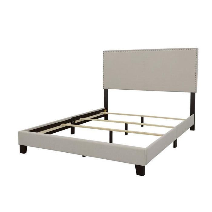 Boyd - Upholstered Panel Bed – Upholstered Beds by CoasterEveryday at Furniture Wholesale Plus , Nashville furniture store
