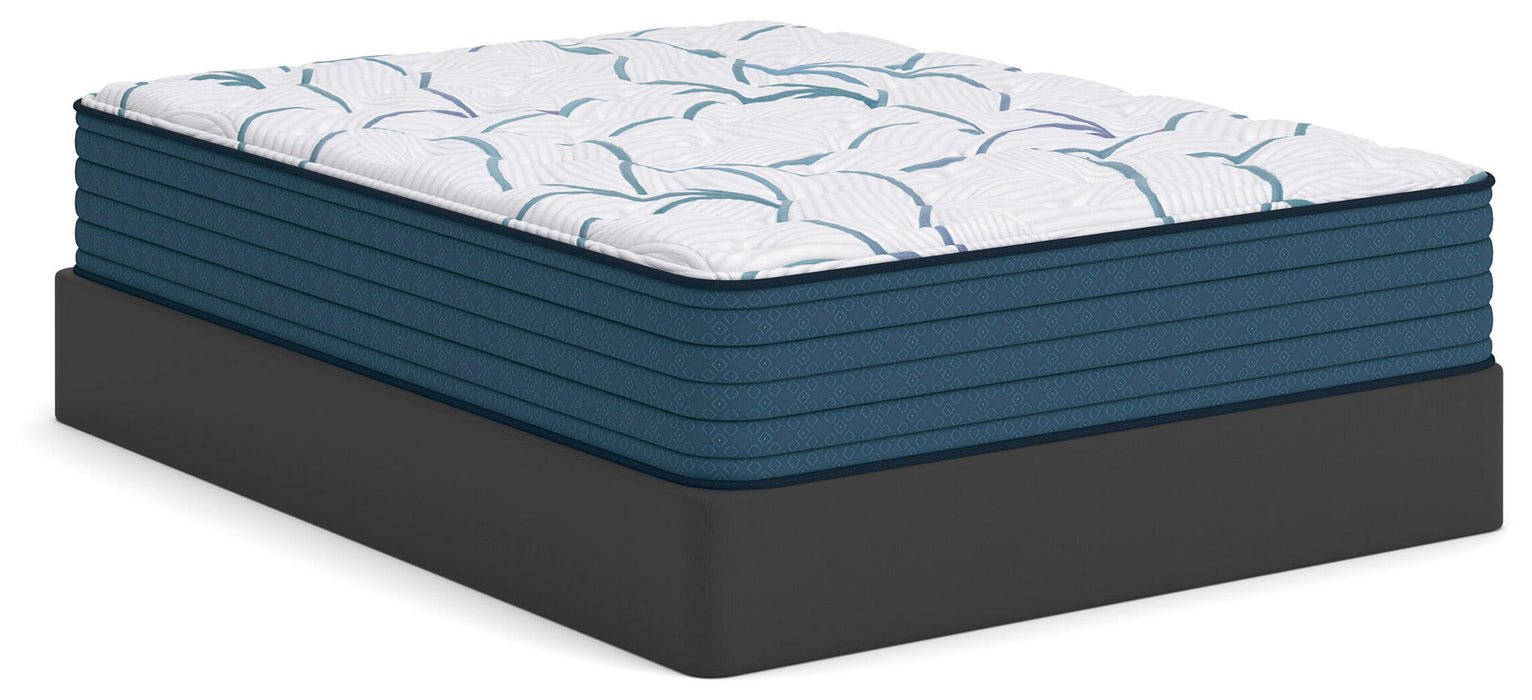 Limited Edition Plush 3.0 - Mattress – Hybrid Mattresses by Sierra Sleep® by Ashley at Furniture Wholesale Plus , Nashville furniture store