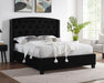 Eva - Bed – Upholstered Beds by Crown Mark at Furniture Wholesale Plus , Nashville furniture store