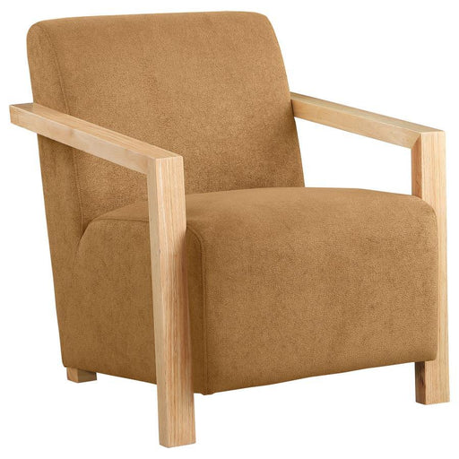 Diego - Upholstered Accent Arm Chair With Wood Arms - Premium Accent Chairs from CoasterEveryday - Just $429! Shop now at Furniture Wholesale Plus  We are the best furniture store in Nashville, Hendersonville, Goodlettsville, Madison, Antioch, Mount Juliet, Lebanon, Gallatin, Springfield, Murfreesboro, Franklin, Brentwood