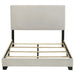 Dorian - Upholstered Panel Bed – Upholstered Beds by CoasterEveryday at Furniture Wholesale Plus , Nashville furniture store