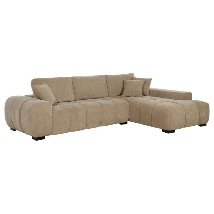 Octavia - Upholstered Sectional Chaise Sofa – Stationary Sectionals by Coaster Fine Furniture at Furniture Wholesale Plus , Nashville furniture store
