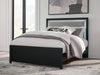 Maeling - Upholstered Panel Bed – Upholstered Beds by Signature Design by Ashley® at Furniture Wholesale Plus , Nashville furniture store