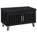 Brixton - 2-Door Padded Entryway Shoe Storage Bench - Premium Storage Benches from Coaster Fine Furniture - Just $279! Shop now at Furniture Wholesale Plus  We are the best furniture store in Nashville, Hendersonville, Goodlettsville, Madison, Antioch, Mount Juliet, Lebanon, Gallatin, Springfield, Murfreesboro, Franklin, Brentwood