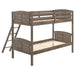 Flynn - Wood Bunk Bed – Bunk Beds by CoasterEveryday at Furniture Wholesale Plus , Nashville furniture store