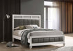 Barzini - Upholstered Panel Bed – Panel Beds by CoasterEveryday at Furniture Wholesale Plus , Nashville furniture store