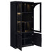 Riva - 4-Door Tall Accent Display Cabinet LED Lighting - Black – Display Cabinets by Coaster Fine Furniture at Furniture Wholesale Plus , Nashville furniture store