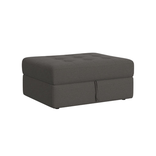 Options One - Storage Ottoman – Storage Ottomans by Elements International at Furniture Wholesale Plus , Nashville furniture store