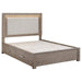 Kenora - LED Storage Bed – Storage Beds by Coaster Fine Furniture at Furniture Wholesale Plus , Nashville furniture store