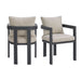 Playa - Dining Chair (Set of 2) - Dark Gray / Beige – Chair Sets by Elements International at Furniture Wholesale Plus , Nashville furniture store