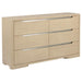 Ladera - 6-Drawer Bedroom Dresser – Dressers by Coaster Fine Furniture at Furniture Wholesale Plus , Nashville furniture store