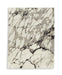 Worthbrook - Rug – Area Rugs by Signature Design by Ashley® at Furniture Wholesale Plus , Nashville furniture store