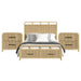 Ridgemont - Storage Bedroom Set – 3 Piece Bedroom Sets by Elements International at Furniture Wholesale Plus , Nashville furniture store
